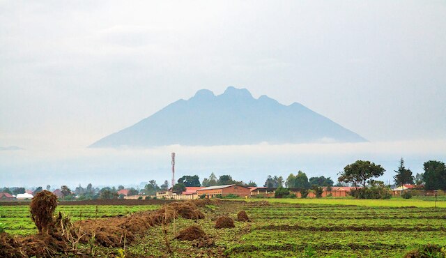 Republiek Congo
