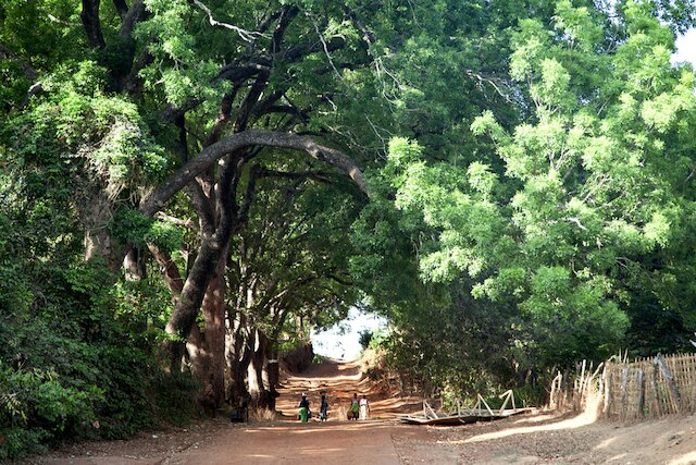 Guinee-Bissau