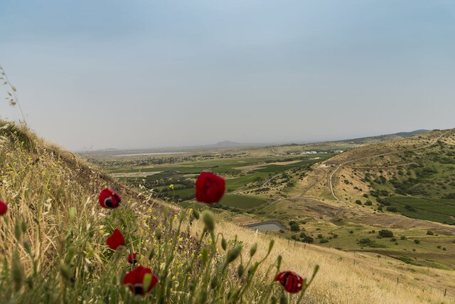 Syrische Arabische Republiek